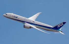 A picture of a Boeing 787 plane flying gracefully in the sky