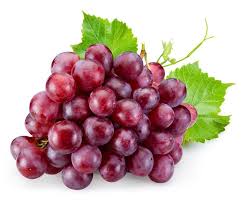 Dark red grapes that are excellent for eating fresh or dried.