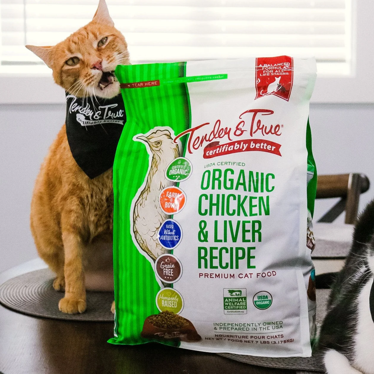 A picture of a cat rubbing its face against a bag of cat food